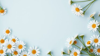 Fototapeta premium A serene arrangement of daisies on a light blue background, creating a charming and delicate border.