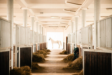 Sunny Corridor stables, horse stalls