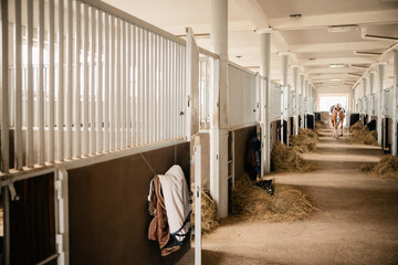 Sunny Corridor stables, horse stalls