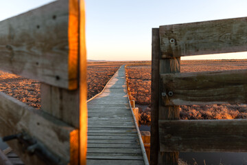 View from Bird observatory at National Park of Evros Delta, near Alexandroupolis and Turkish border, Dadia forest and protected wetland, sunset or sunrise