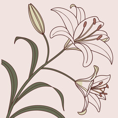 seamless floral pattern