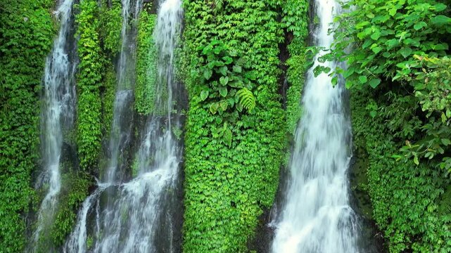green jagir waterfall on java island