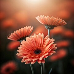 red gerbera flower