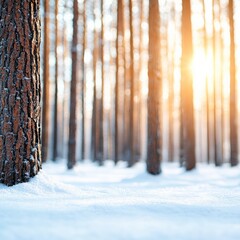 A serene winter forest scene with tall trees, sunlight filtering through, and a blanket of snow covering the ground.