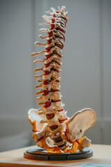 Fototapeta premium Find out how to manage back pain treatment with practical lifestyle tips and advice
