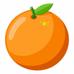 illustration of orange fruit