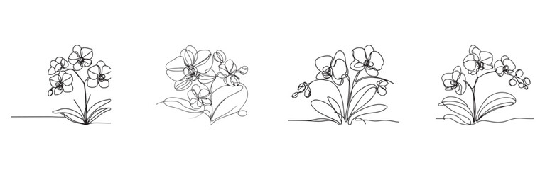 Set of Elegant One Line Orchid Drawings, Orchid Line Art Illustration Set on White Background