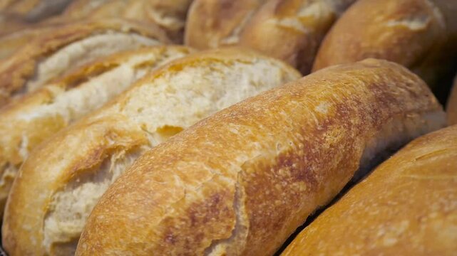 Close up of fresh loaf or bread rolls lying in a row. Craft bread, fresh and hot bread, ciabatta. French bread.