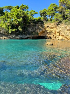 Montenegro Adriatic sea beautiful rocky beach overgrown pine trees. 