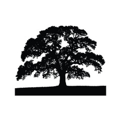 Fototapeta premium Silhouette of a Leafless Tree with Branches - Elegant Nature Vector