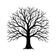 Obraz premium Silhouette of a Leafless Tree with Branches - Elegant Nature Vector
