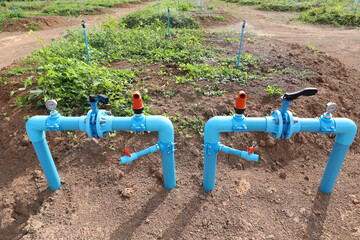 Irrigation water system with release and butterfly valves for controlling water