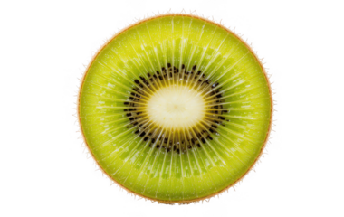 kiwi fruit isolated on white background 