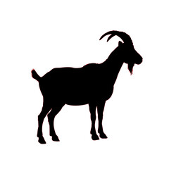 goat silhouette - vector illustration