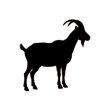recommend clip art: goat silhouette - vector illustration