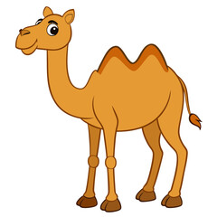 camel cartoon illustration