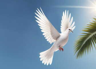 A white dove is a symbol of peace in the bright rays of the sun against a blue sky.