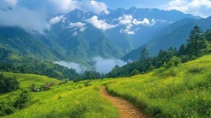 Obraz premium Scenic mountain valley trail with wildflowers, mist, and distant peaks.