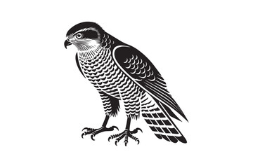 simple black an white goshawk vector silhouette isolated on a white background