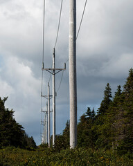 A number of utility poles running in a straight line.