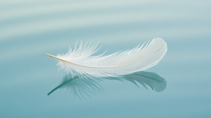 Obraz premium A delicate white feather floating in the air, casting a faint shadow on a pale blue surface, with soft lighting, a dreamy atmosphere, and a blurred background.