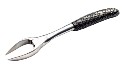 Fish Scaler Tool for Easy Cleaning - Isolated on White Background