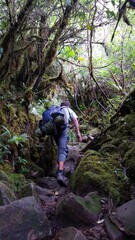 Fototapeta premium homem em trilha par amonte roraima