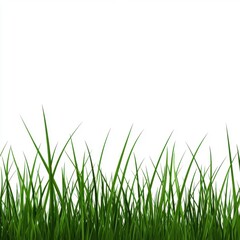 Obraz premium Vibrant green grass blades against a clean white background, creating a fresh and natural feel.