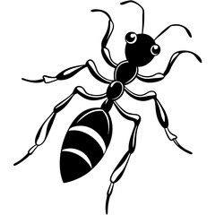 ant