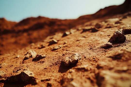 Close-up view of rocky surface with textured rock formations