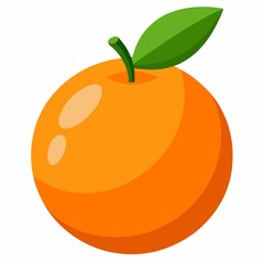 illustration of orange fruit