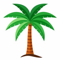 palm tree illustration