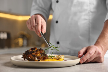 Professional chef serving dish at table indoors, closeup