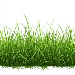 Fototapeta premium Vibrant green grass swaying gently, showcasing a lush and healthy lawn appearance.