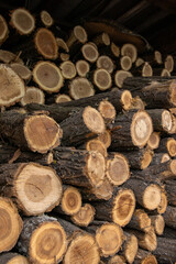 pile of wood logs, wood texture