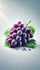 Fresh Purple Grapes with Dew Drops and Green Leaves on a White Background