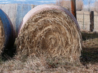 Large Round Bale of Hay, Boulder, Colorado