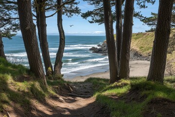 A path leads to the ocean, with trees lining the way