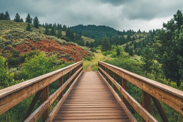 Fototapeta premium A wooden bridge spans a river in a lush green forest