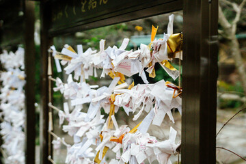 Omikuji, Japanese fortunes written on paper stripes, in Zeniarai Benzaiten Ugafuku Jinja, Zeniarai Benten, Kamakura, Japan