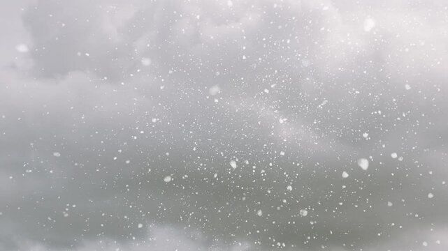 View of snowflakes falling in a storm