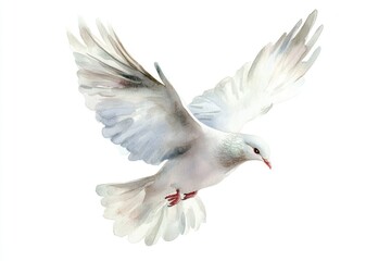 Obraz premium A white bird soaring through the sky, its feathers glowing with a soft light