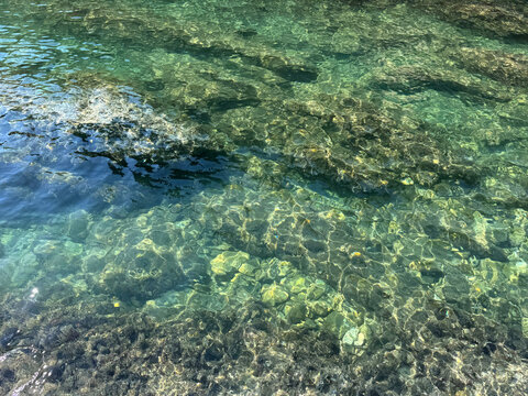 Sea crystal clear water emerald green surface with stones and the bottom.