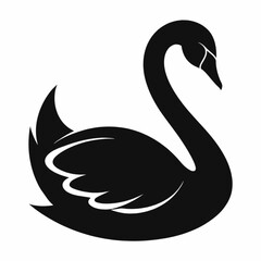 black swan vector