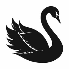 black swan vector