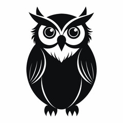 owl on white background