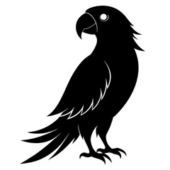 illustration of a parrot