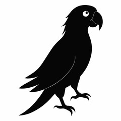 illustration of a bird