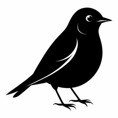 bird on a branch
