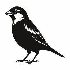 bird on a branch